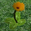 icon_FlowerYellow.png