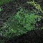 icon_Shrub.png